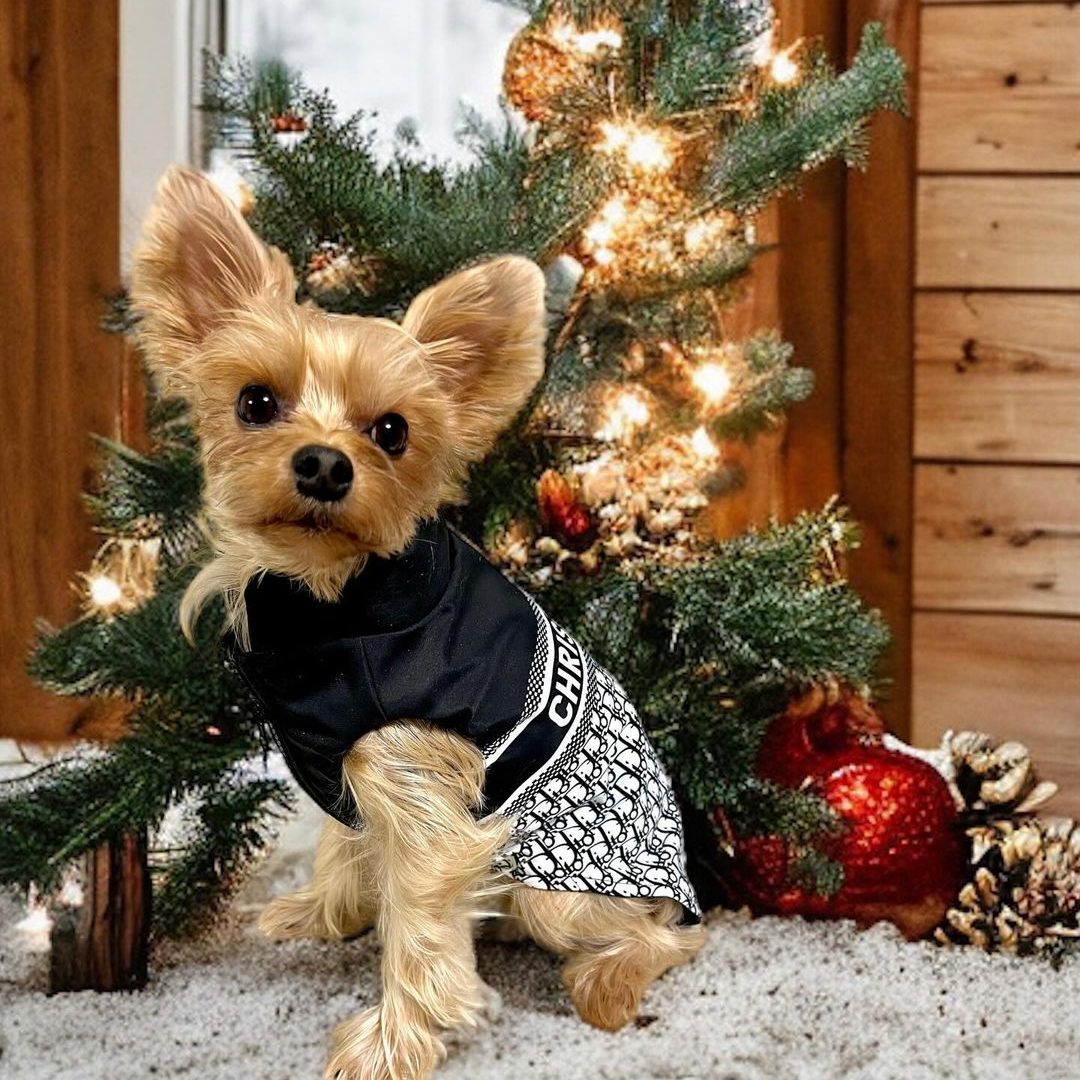 designer-yorkie-diordog-vest-jacket designer yorkie diordog vest jacket