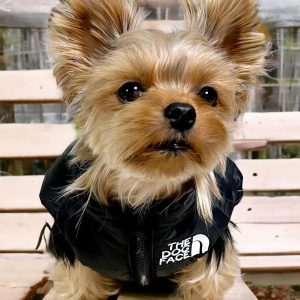 the-dog-face-yorkie-vest-jacket