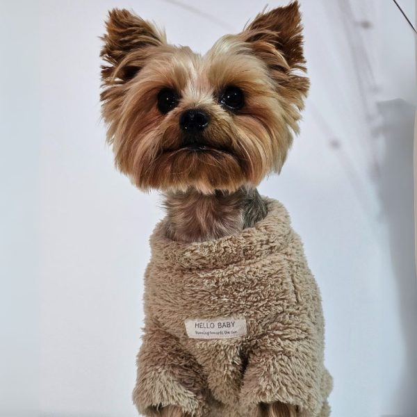 warm yorkshire terrier plush sweatshirt