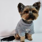 warm yorkie plush sweatshirt