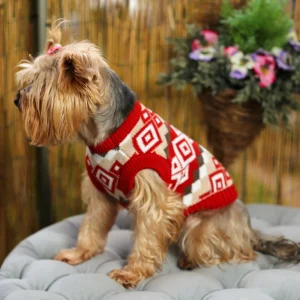 yorkie sweater