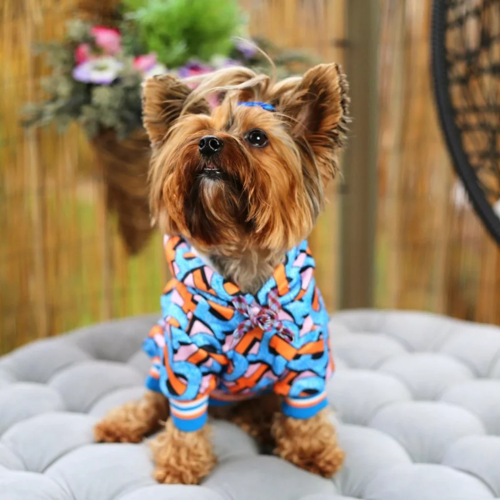 Candy Chain Yorkie Hoodie