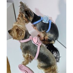 yorkies gram pawsome yorkie harness & leash set