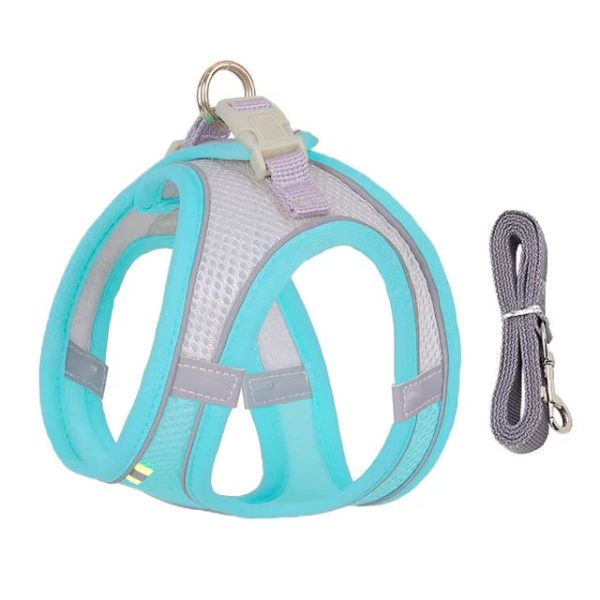 blue breathable yorkie harness leash set