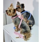 yorkies gram pawsome yorkie harness & leash set