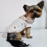 yorkies gram star yorkie hoodie