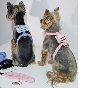 pawsome yorkie harness & leash set