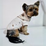 star yorkie hoodie