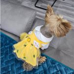 summer cute yorkie dress