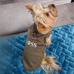 Who Is Your Boss Yorkie Coat