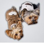 yorkie teddy warm coat