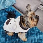 yorkie teddy warm coat