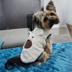 yorkie teddy warm coat