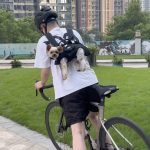 black hands free shoulder yorkie carrier