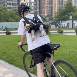 black hands free shoulder yorkie carrier
