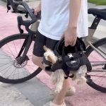 hands free shoulder yorkie carrier