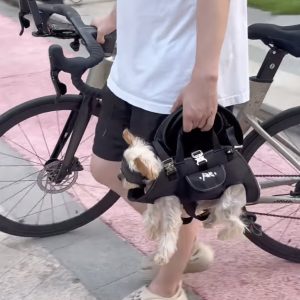 hands free shoulder yorkie carrier