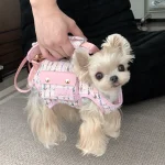 Hands-Free Shoulder Yorkie Carrier - Image 4