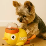 yorkie feeding duck toy yorkie supplies