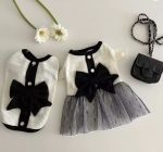 elegant yorkie dress