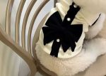 elegant yorkie dress