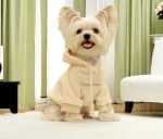 essentials Yorkie hoodie