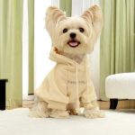 essentials Yorkie hoodie
