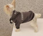 essentials Yorkie hoodie