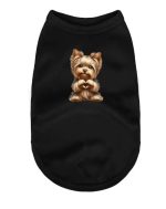 lovely yorkie vest yorkies gram 3