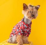 mm yorkie sweatshirt
