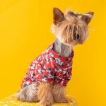 mm yorkie sweatshirt