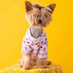 mm yorkie sweatshirt