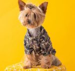 mm yorkie sweatshirt