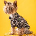 mm yorkie sweatshirt