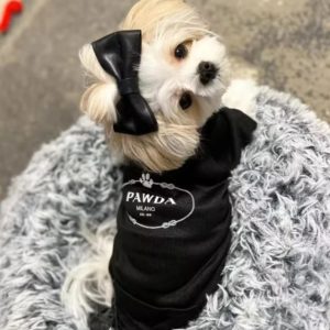 pawda yorkie vest
