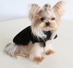 ribbed yorkie shirt