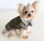 ribbed yorkie shirt