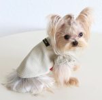 ribbed yorkie shirt