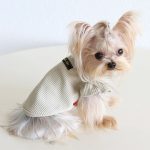 ribbed yorkie shirt
