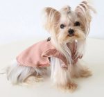 ribbed yorkie shirt yorkies gram