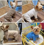soft yorkie pajama