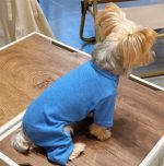 soft yorkie pajama
