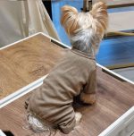 soft yorkie pajama