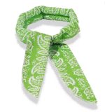 yorkie cooling scarf 1