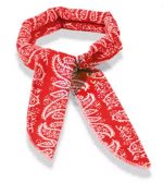 yorkie cooling scarf 1