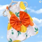 yorkie floral dress