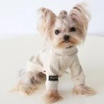 yorkie knit sweater