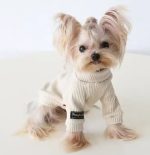 yorkie knit sweater