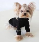 Knit Yorkie Sweater - Image 4