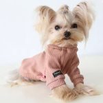 yorkie knit sweater